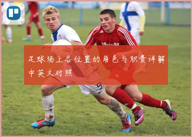 足球场上各位置的角色与职责详解中英文对照