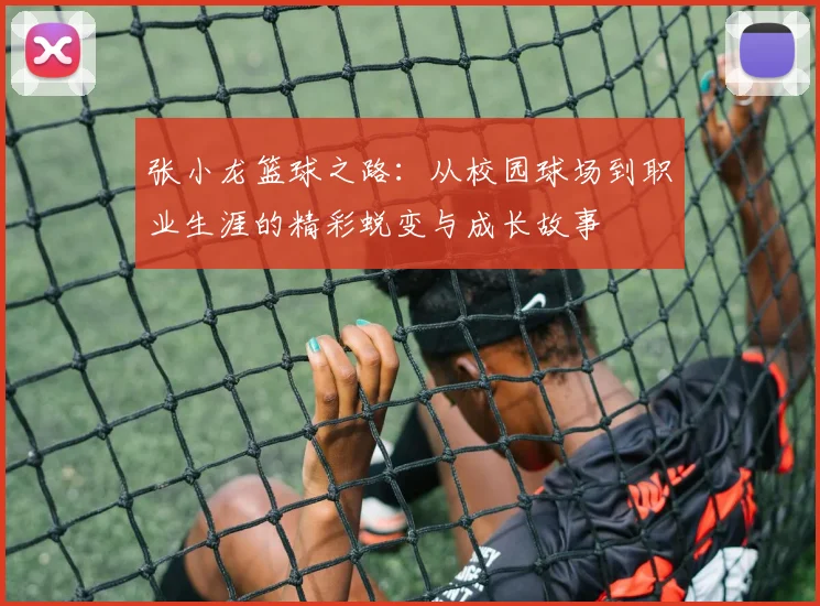 张小龙篮球之路：从校园球场到职业生涯的精彩蜕变与成长故事