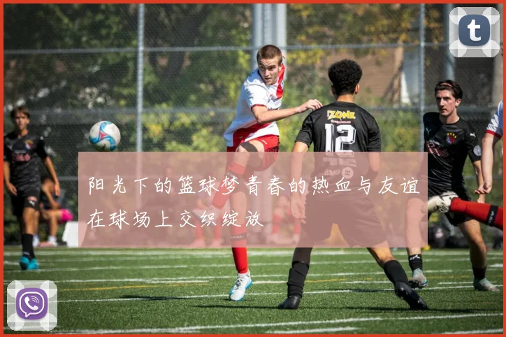 阳光下的篮球梦青春的热血与友谊在球场上交织绽放