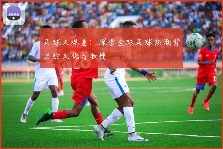 足球火观看：探索全球足球热潮背后的文化与激情