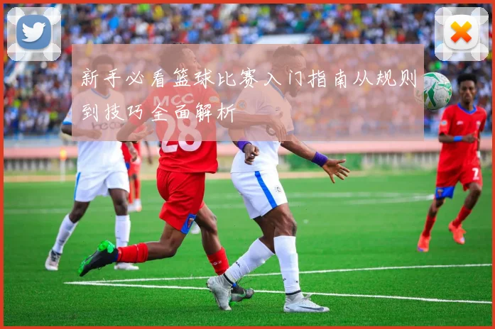 新手必看篮球比赛入门指南从规则到技巧全面解析