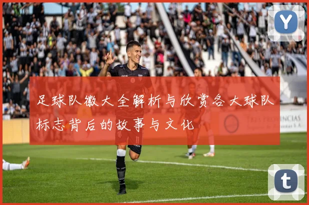 足球队徽大全解析与欣赏各大球队标志背后的故事与文化