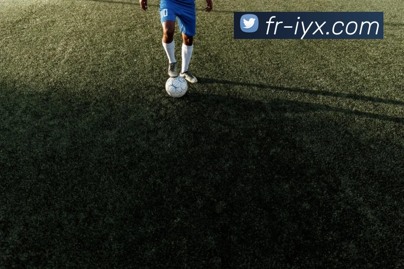 爱游戏官网发展历程